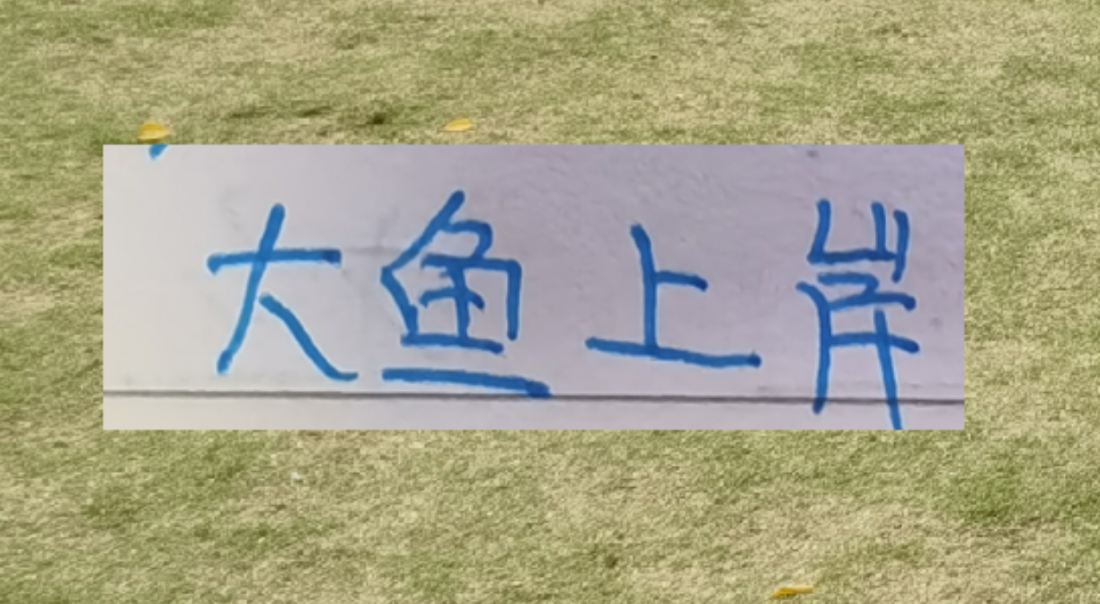 开元体育-海港本土大鱼上岸了！新赛季前2轮转正不在话下吗？